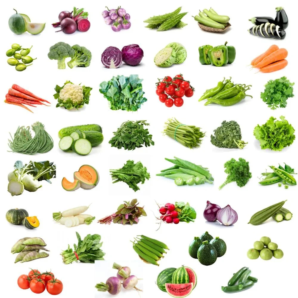 45 Vegetable Combo Pack -Vegetable Seeds Combo