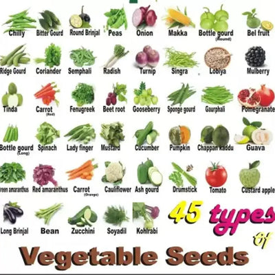 45 Vegetable Combo Pack -Vegetable Seeds Combo