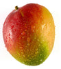 Exotic Mango Plant Varieties for Your Garden (Tommy Atkins) ) Live Mango 1 Plant (Mangifera indica) – Grafted Variety  -Fruit Plants