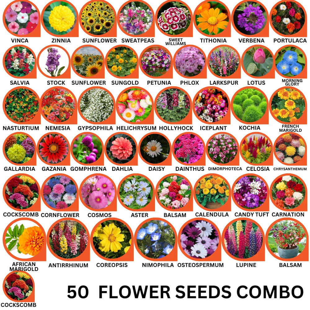 50 Flower Seeds Combo Pack - Flower Seed Combo