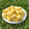 Live Malaysian Jackfruit Plant – Grafted & Ready to Grow  -Fruit Plants