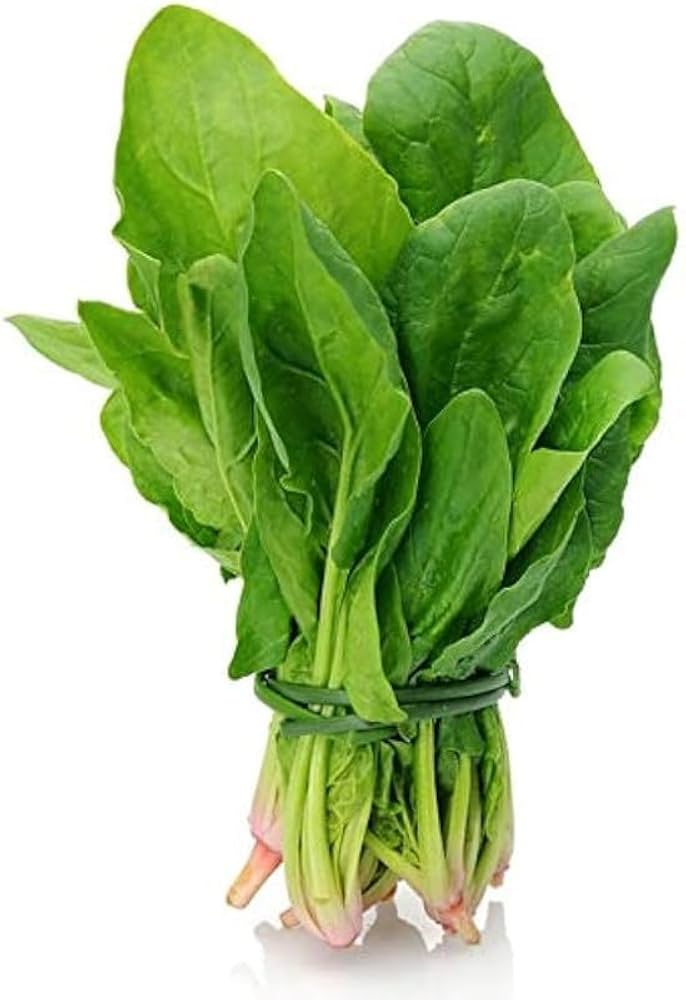 🌿 Spinach (Palak) Hybrid Seeds – Pack of 50 - Vegetable Seeds