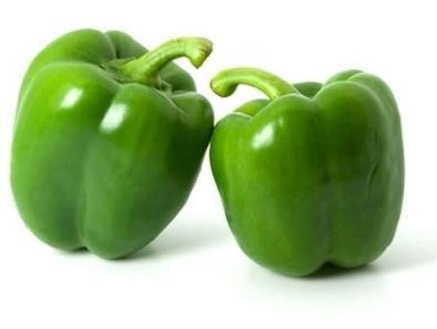 🫑 Capsicum (Hari Shimla Mirch) F1 Hybrid Seeds – Pack of 20 - Vegetable Seeds
