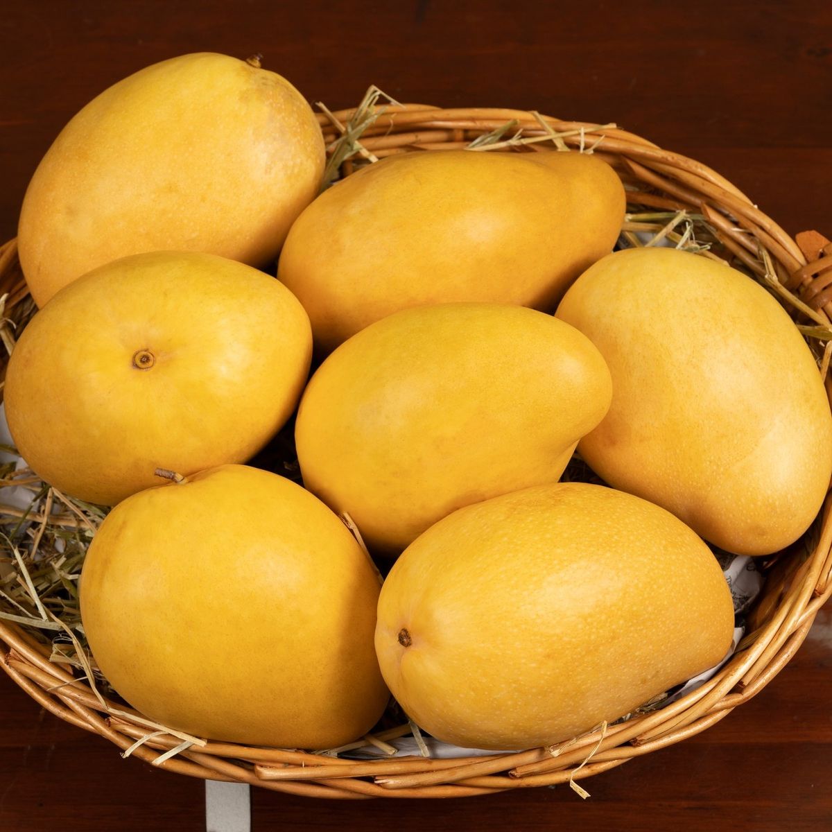 Mango Plant (Banganapalli (Benishan) ) Live Mango 1 Plant (Mangifera indica) – Grafted Variety  -Fruit Plants