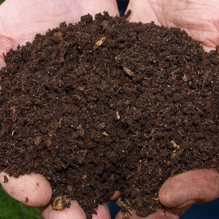 Vermicompost 250grm -Soil & Fertilizers