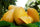 Exotic Mango Plant Varieties for Your Garden (Ataulfo (Honey Mango)) ) Live Mango 1 Plant (Mangifera indica) – Grafted Variety  -Fruit Plants