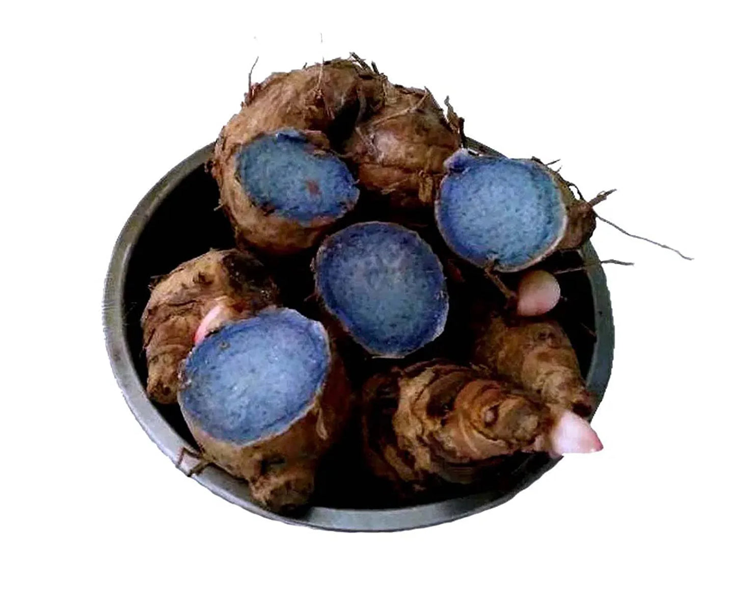 Black Turmeric Seeds – Pack of 5 | Exotic Healing Herb - Rhizome & Bulbs