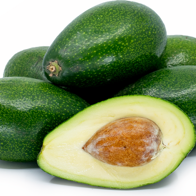 Bacon Avocado Seeds – Pack of 2 - Fruit Seeds
