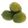 Mango Plant (Neelum) ) Live Mango 1 Plant (Mangifera indica) – Grafted Variety  -Fruit Plants