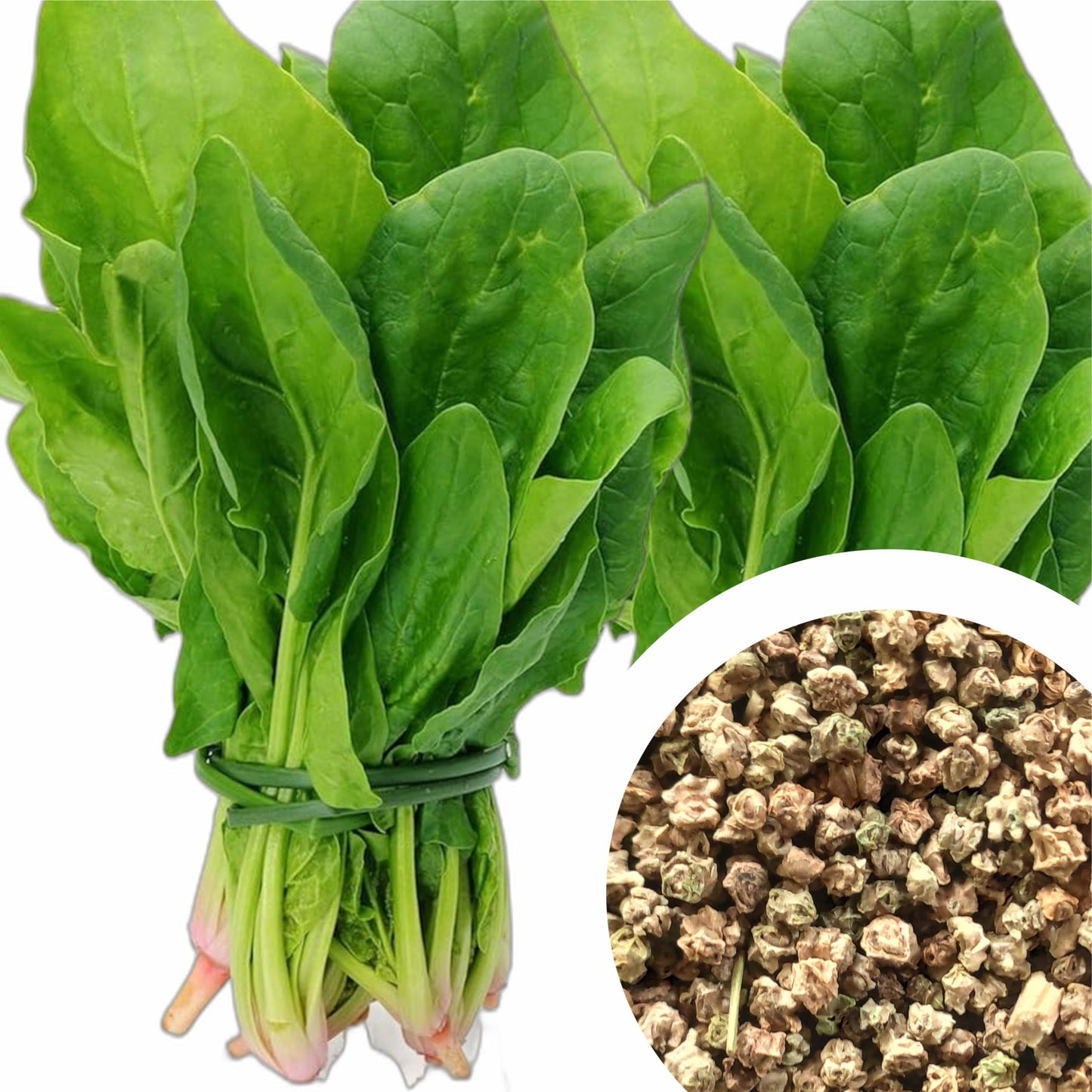 🌿 Spinach (Palak) Hybrid Seeds – Pack of 50 - Vegetable Seeds