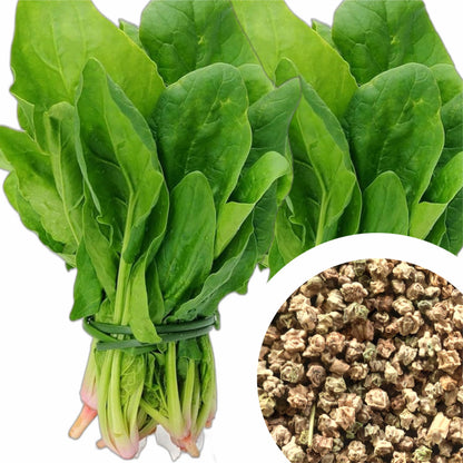 🌿 Spinach (Palak) Hybrid Seeds – Pack of 50 - Vegetable Seeds