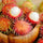 Jitlee (Thailand) Rambutan Hybrid Exotic Fruit Seeds, Pack of 5 - Fruit Seeds