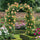 Climbing Hybrid Rose Seeds – Decorative Flower Vines for Outdoor Landscaping - Rose Seeds