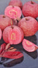 Black Diamond Guava Fruit Plant: Dark Skin, Pink-Red Juicy Sweet Flesh