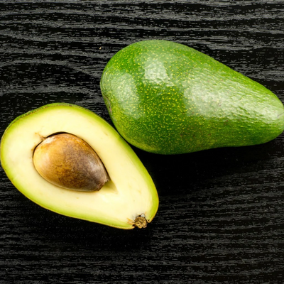 Avocado - Fuerte - Grafted - Hybrid Fruit Plant