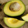 Avocado - Reed - Hybrid Fruit Plant