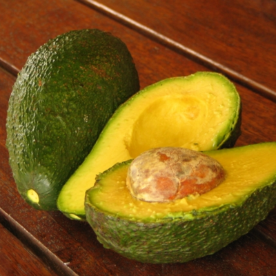 Avocado - Secondo - Grafted - Hybrid Fruit Plant