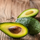 Avocado - Shepard - Hybrid Fruit Plant