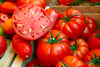 🍅 Beefsteak Tomato Hybrid Seeds – 100 Seeds, Large & Juicy Fruits  - Vegetable Seeds