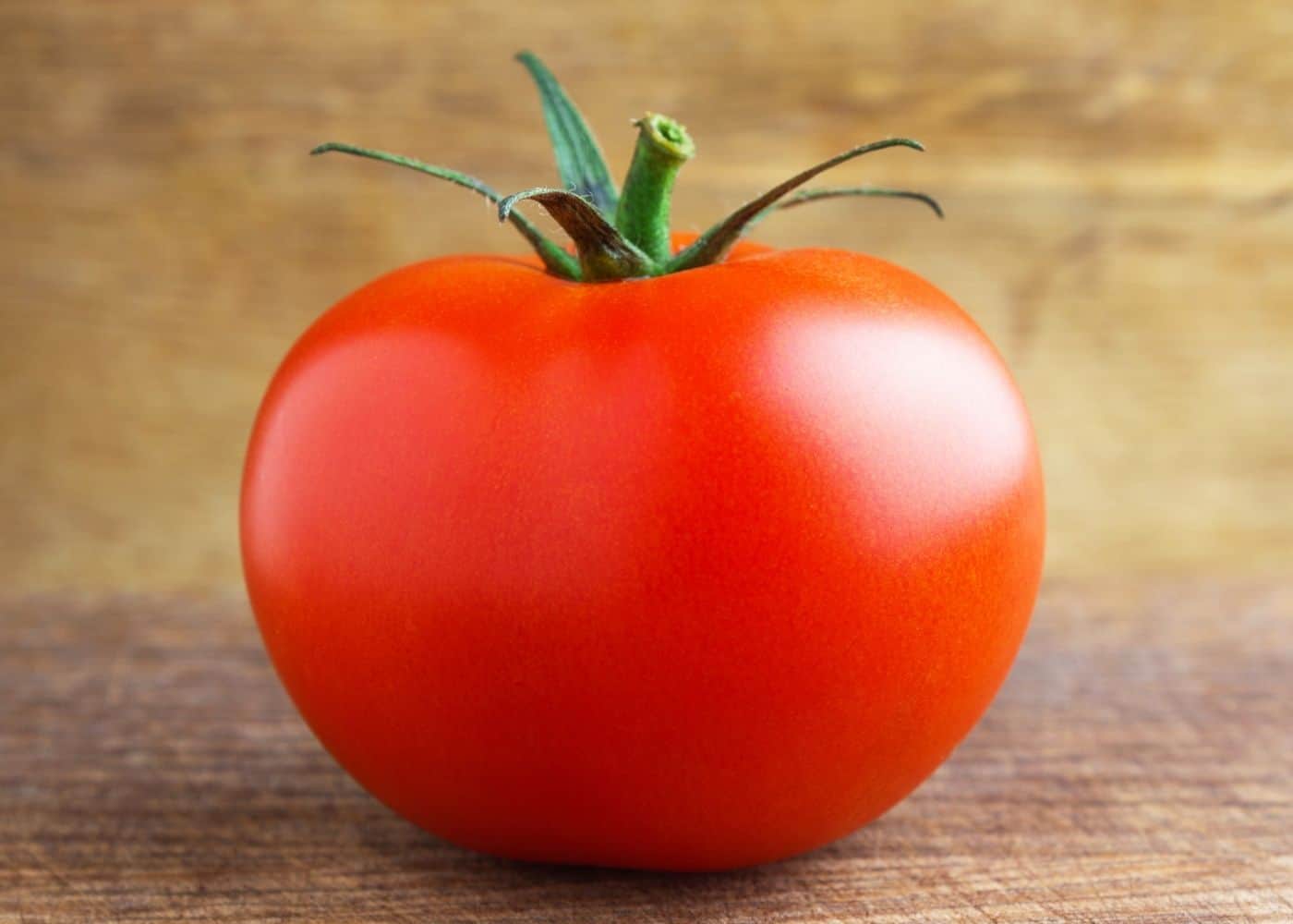 🍅 Celebrity Hybrid Tomato Seeds – 100 Seeds, All-Purpose & Disease-Resistant Variety  - Vegetable Seeds