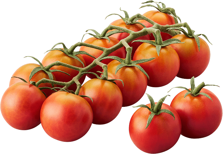 Cherry Tomato ‘Honey 100’ – Premium Sweet Vegetable Seeds (Pack of 100)-Vegetable Seeds