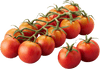 Cherry Tomato ‘Honey 100’ – Premium Sweet Vegetable Seeds (Pack of 100)-Vegetable Seeds