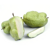 Indonesian Seedless Guava Hybrid Fruit Plant - Healthy Live Plant in Polybag
