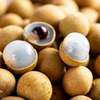 Longan - Dragon's Eye - Dimocarpus longan Fruit Plant