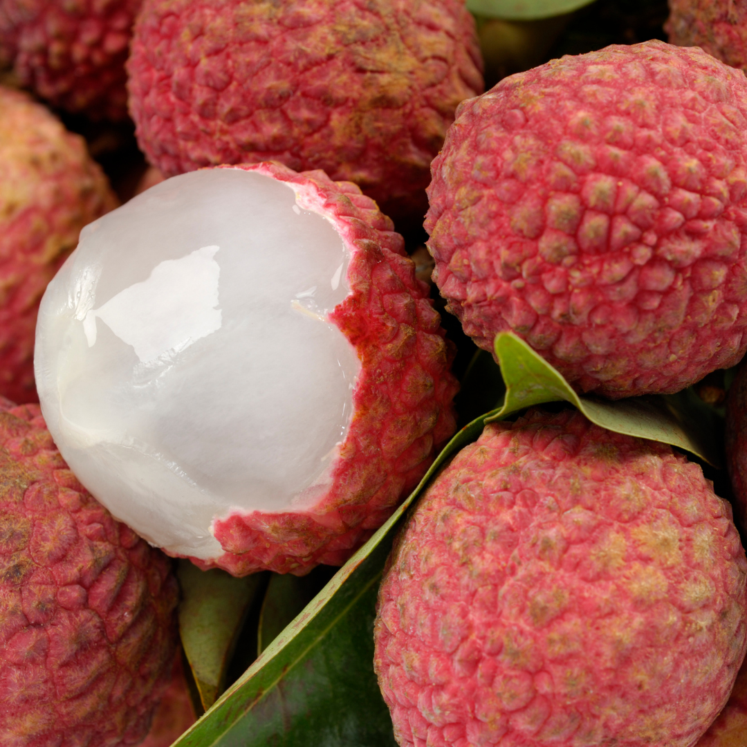 Lychee Fruit - Bengal Lychee - Litchi chinensis Fruit Plant