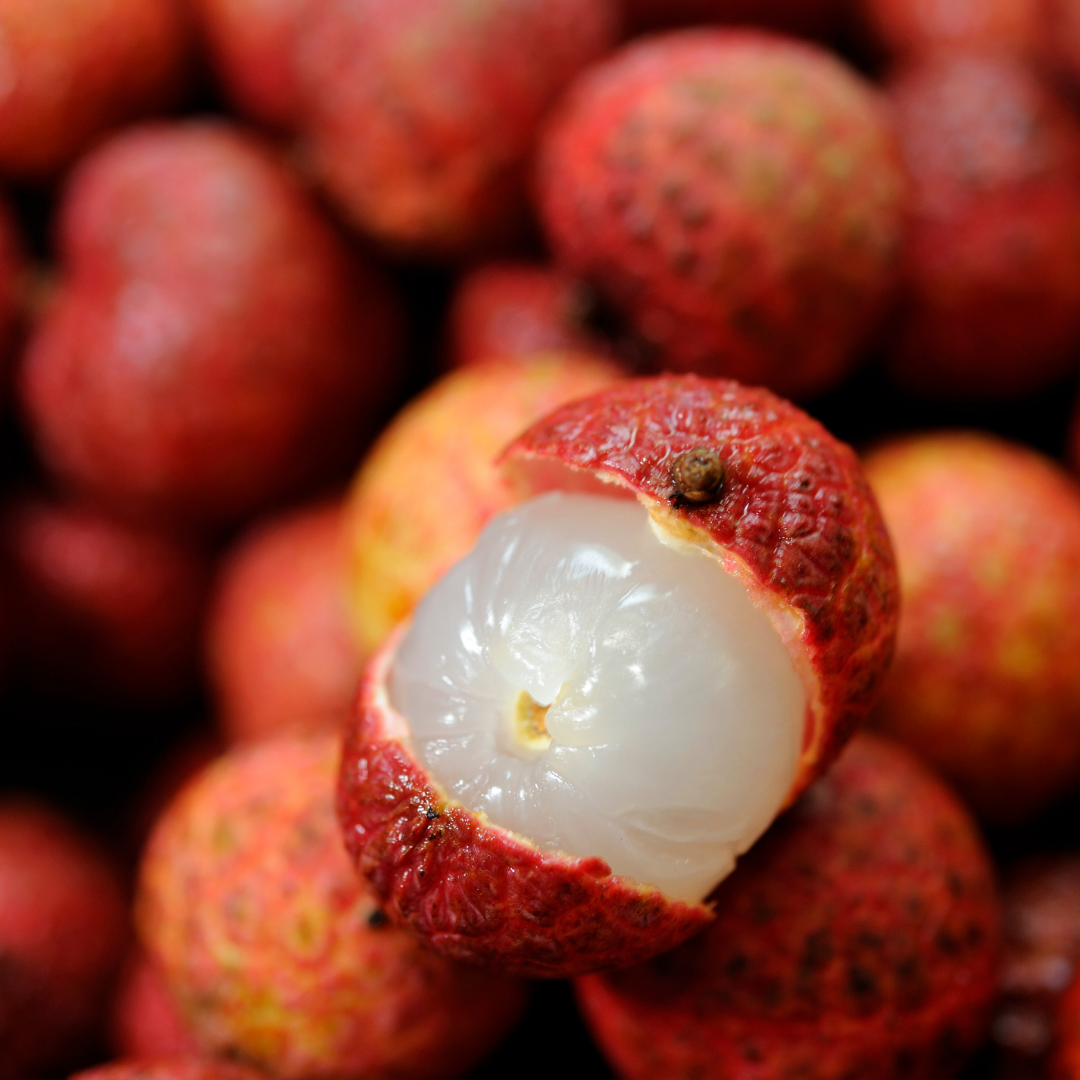 Lychee Fruit - Bengal Lychee - Litchi chinensis Fruit Plant