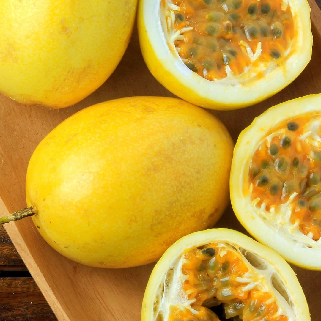 Passionfruit - Giant Yellow Fruit Plant