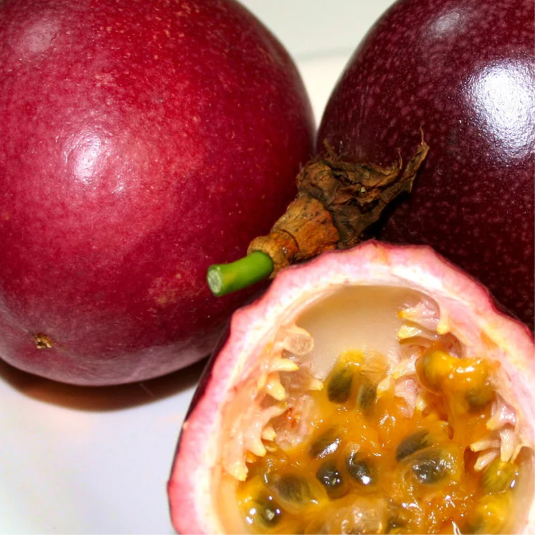 Passionfruit - Panama Red Pandora Fruit Plant