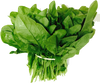 Spinach ‘All Green’ – Premium Leafy Vegetable Seeds (High Yield & Fast Growing) -Vegetable Seeds