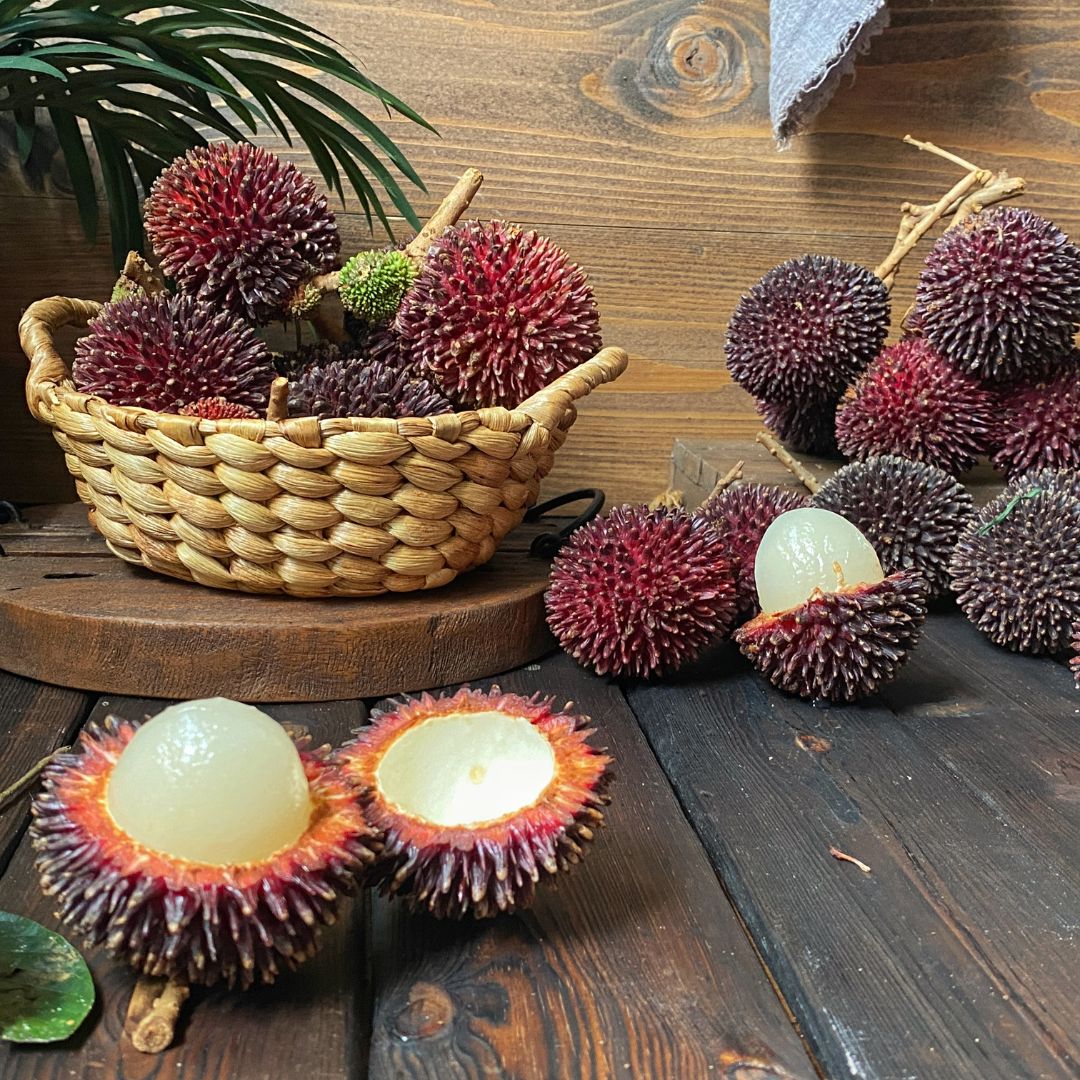 Pulasan - Red - Nephelium mutabile Fruit Plant