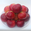 Exotic Guava Punjab Red Apple Hybrid Live Fruit Plant for Home Garden