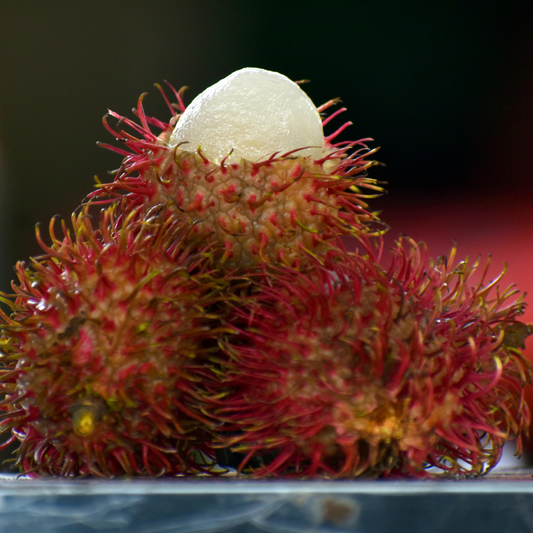 Caesar Rambutan Hybrid Fruit Plant: Extra-Large, Juicy, Sweet, Red Skinned Delights