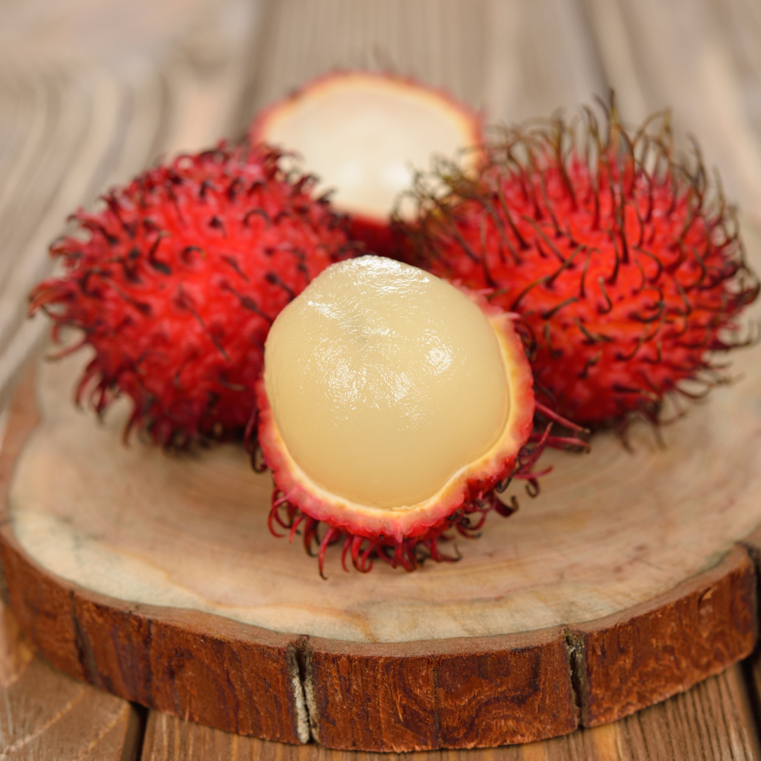 Jumbo Rambutan KG10 Hybrid Fruit Plant: Extra-Large, Sweet, Juicy Red Fruits