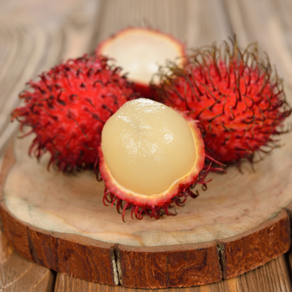 Jumbo Rambutan KG10 Hybrid Fruit Plant: Extra-Large, Sweet, Juicy Red Fruits