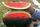 ARKA Shyama -TFL WATER MELON Hybrid -Vegetable Seeds