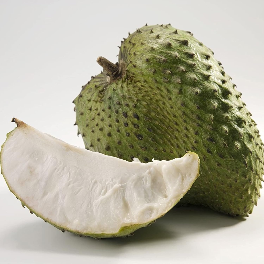 Soursop - Giant - Annona muricata Fruit Plant