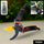 Heavy Duty Garden Pruning Shears (1 Pc)