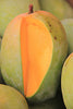 Mango Plant (Kesar) Live Mango 1 Plant (Mangifera indica) – Grafted Variety  -Fruit Plants