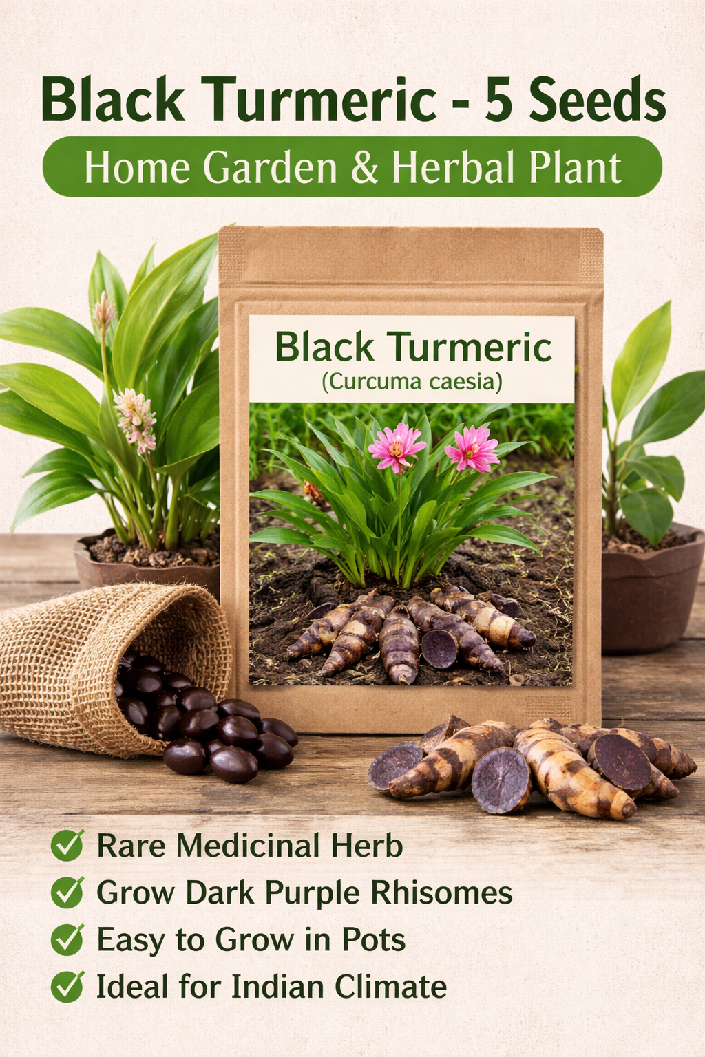 Black Turmeric Seeds – Pack of 5 | Exotic Healing Herb - Rhizome & Bulbs