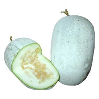 Ash Gourd F-1 Hybrid (Winter Melon) 20 seeds-vegetable seeds