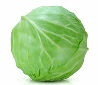 Organic Cabbage F1 Hybrid seeds- Open Pollinated 20 seeds-vegetable seeds