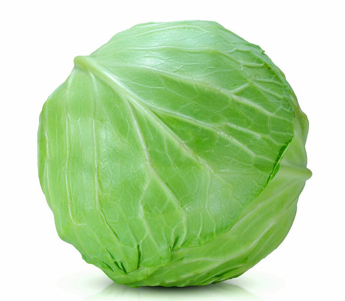 Organic Cabbage F1 Hybrid seeds- Open Pollinated 20 seeds-vegetable seeds