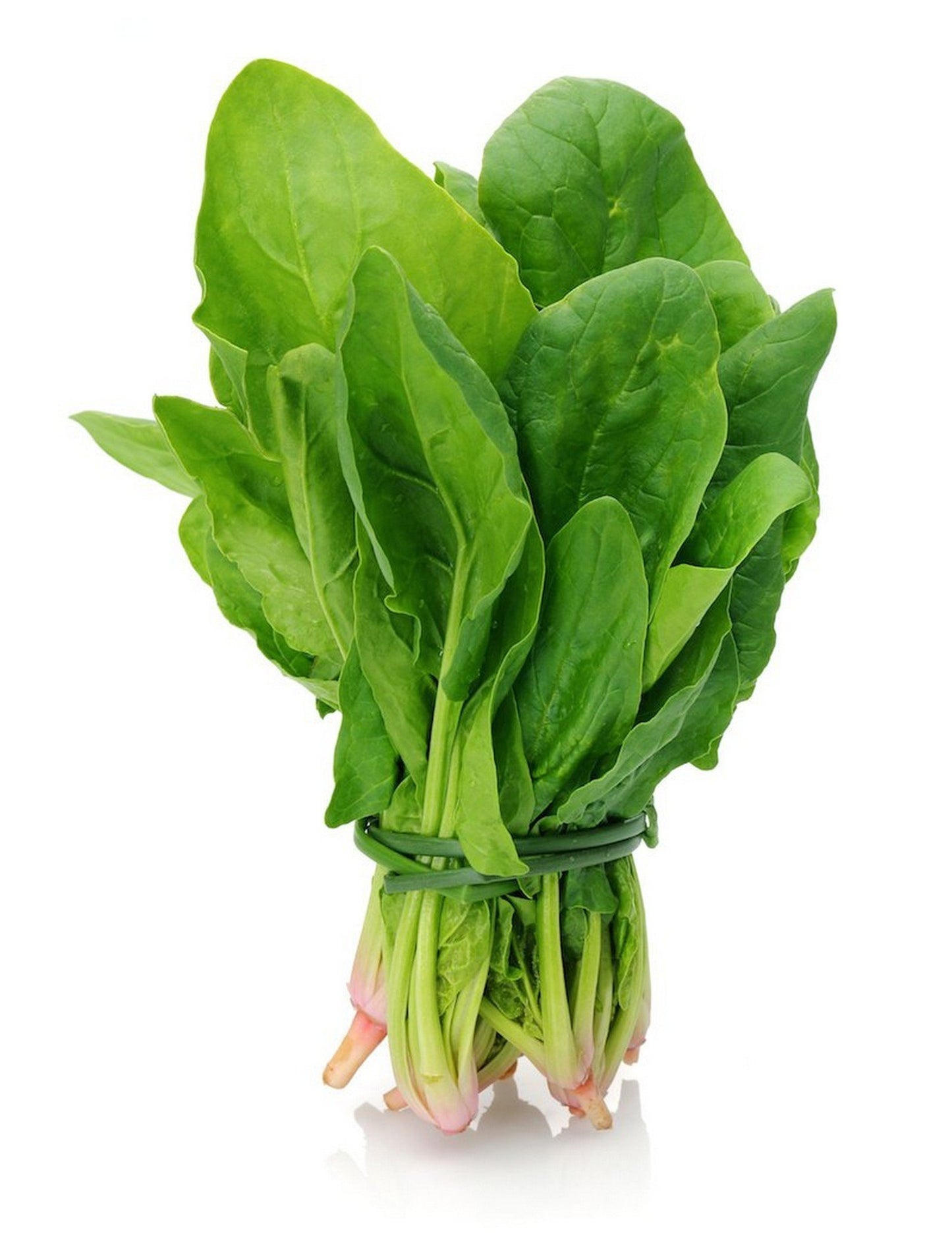 Spinach ‘All Green’ – Premium Leafy Vegetable Seeds (High Yield & Fast Growing) -Vegetable Seeds