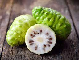 Rare Noni Fruit Plant Cheese Fruit- 1 Healthy Plant Medicinal Plant