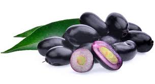 Jamun plant Java Plum-  Medicinal Plant Live Plants