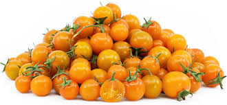 🍅 Sungold Hybrid Tomato Seeds – 100 Seeds, Exceptionally Sweet & Golden-Orange Fruits  - Vegetable Seeds
